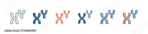 chromosome biotechnology x and y genetic icon set molecular dna genome symbol vector illustration