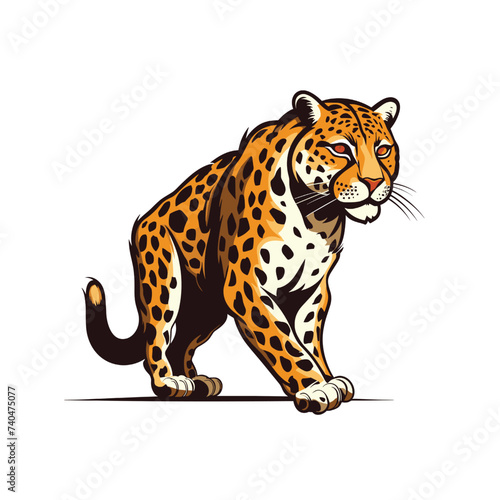 vector of leopard animal illustration with white background