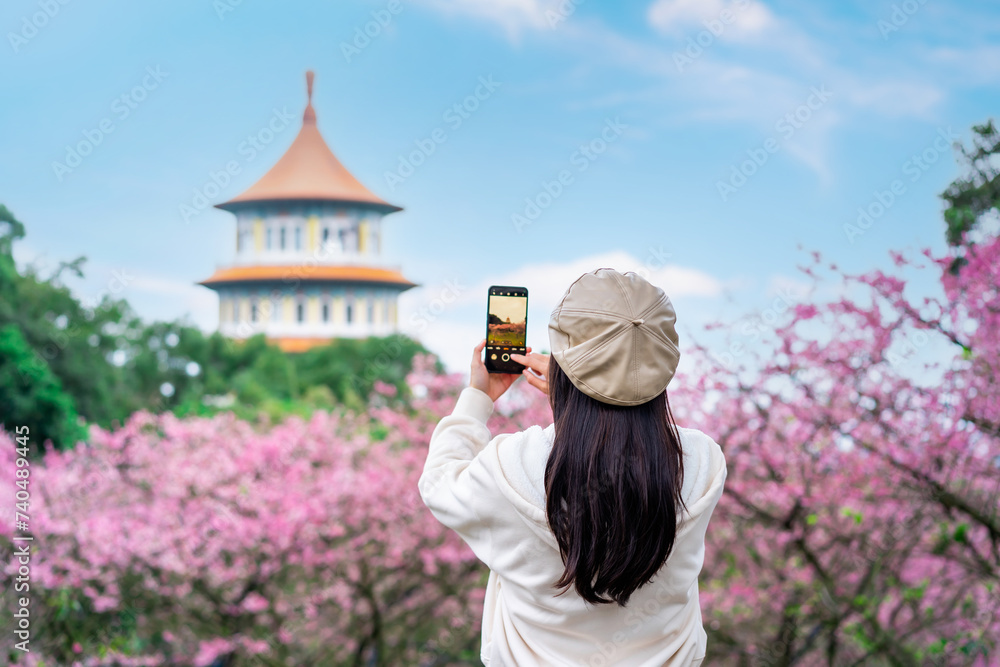 Naklejka premium Young female tourist taking a photo of the beautiful cherry blossom at Wuji Tianyuan temple in Taiwan