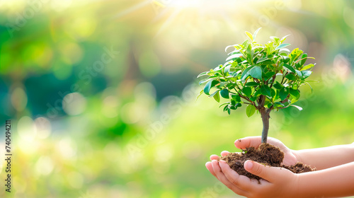 child hands holding tree on blurred green nature background with copy space. earth day eco concept