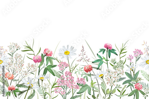 Colorful hand drawn sketch of flowers and grass. Horizontal seamless pattern with plants on a light background. Medical herbs and spice. Frame with wildflowers. 
