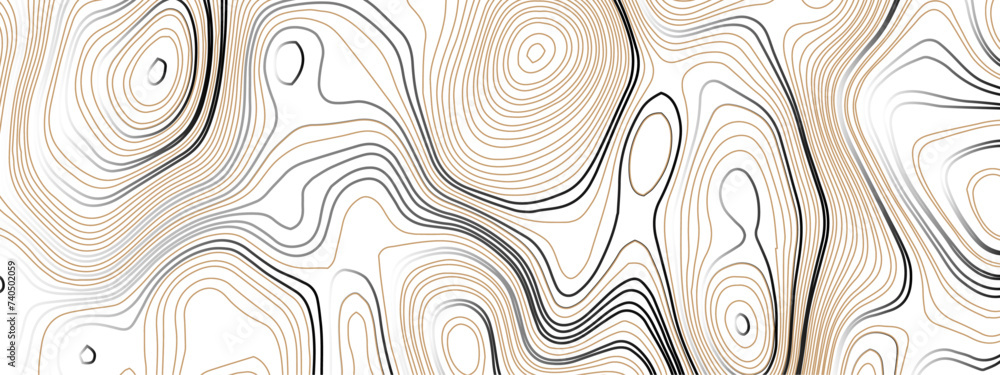 Fototapeta premium Wave topographic contour map, topographic wavy map line background. Abstract geographic wave grid line map. Geographic mountain relief background. Vector illustration.