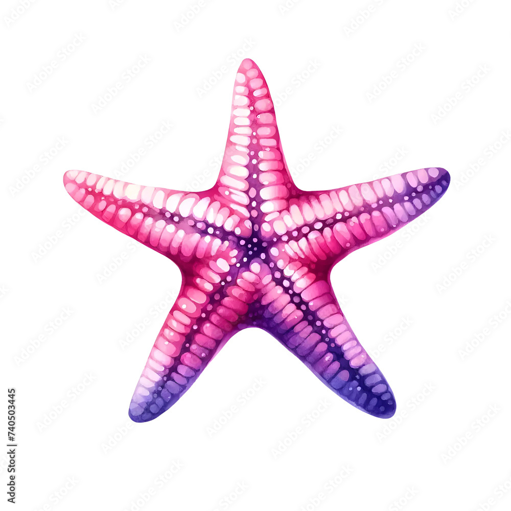 starfish isolated on white background starfish isolated on white background
