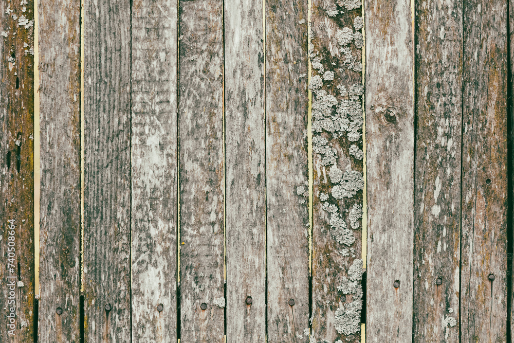 Boards on an old wooden fence as an abstract background. Texture Boards on an old wooden fence as an abstract background. Texture