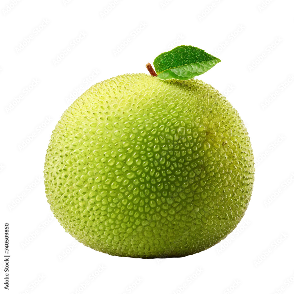 Mombin isolated on transparent background Mombin isolated on transparent background