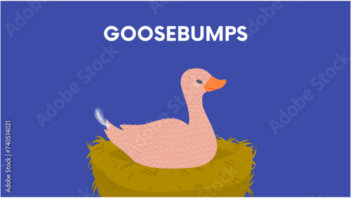 Goosebumps: Goose Sitting on Nest with Raised Feathers