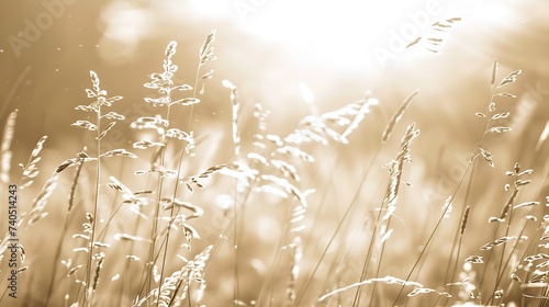 Beautiful nature landscape Alpine meadow Grass closeup with sunbeams Beautiful Nature landscape with sun flare Vintage Sepia toned : Generative AI