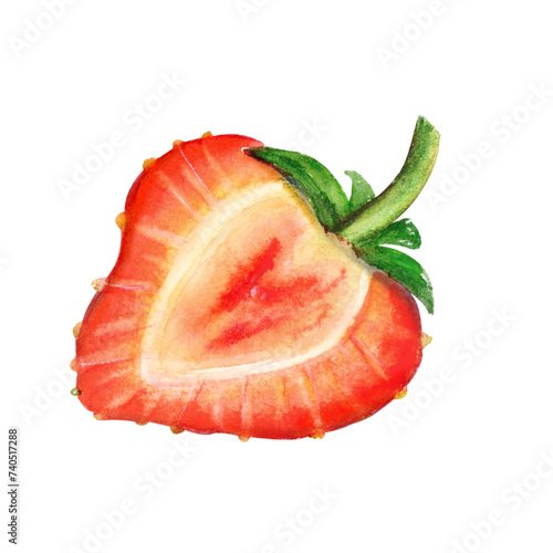 Strawberry half watercolor drawing slice cut. Berry juicy delisious fruit summer illustration. Sweet aquarelle picture isolated on white background