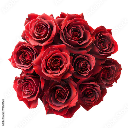 Beautiful red rose flowers isolated on white background