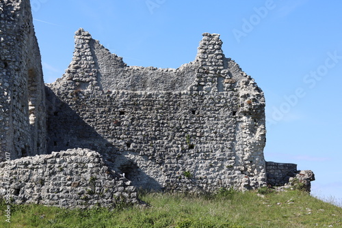 ruins of castle