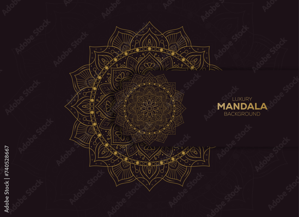 unique luxury mandala vector design