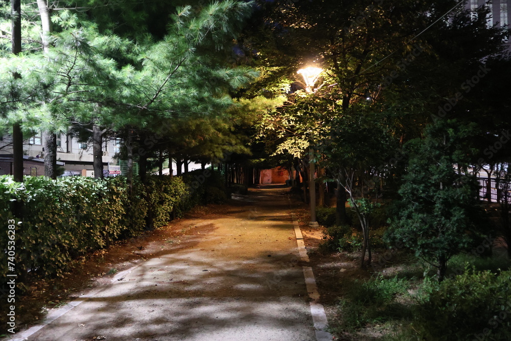 Fototapeta premium Peaceful Night Path Illuminated by Soft Streetlights