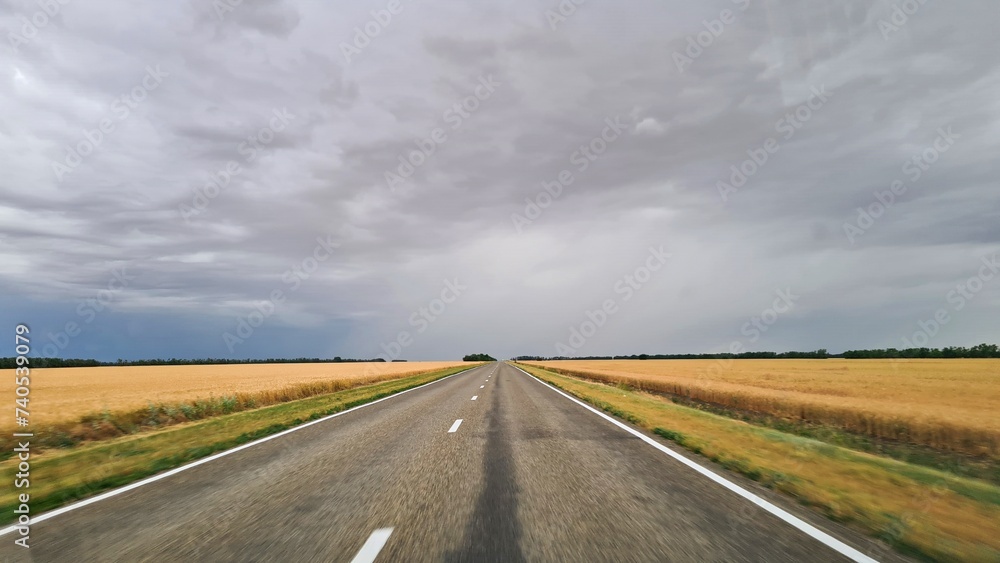 Road passes among fields with ripened wheat against the background of sky with rain clouds