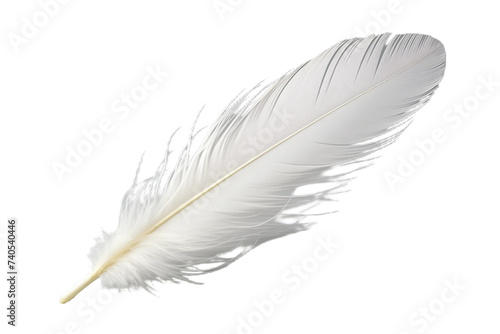 white feather  on white transparent background png