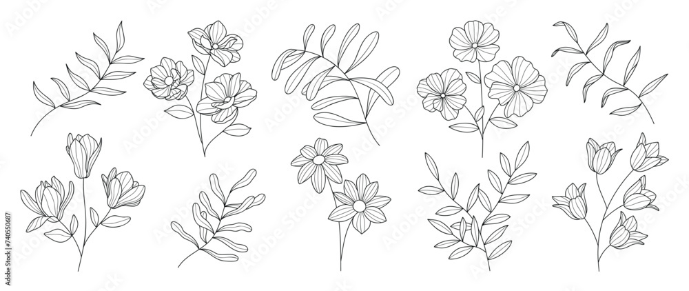 Set botanical hand drawn element vector. Collection of foliage, branch, floral, leaves, wildflower in line art. Minimal style blossom illustration design for logo, wedding, invitation, decor. Set botanical hand drawn element vector. Collection of foliage, branch, floral, leaves, wildflower in line art. Minimal style blossom illustration design for logo, wedding, invitation, decor.