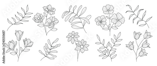 Set botanical hand drawn element vector. Collection of foliage, branch, floral, leaves, wildflower in line art. Minimal style blossom illustration design for logo, wedding, invitation, decor.