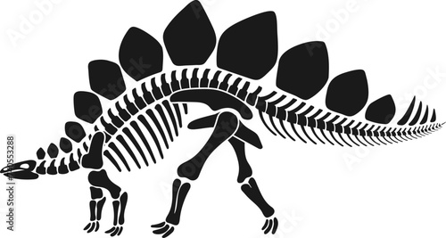 Isolated stegosaurus dinosaur skeleton fossil, dino bones black vector silhouette with distinct plates and spiked tail. Herbivorous prehistoric creature anatomy for educational paleontology materials