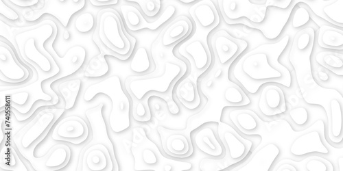 3d render, abstract white paper background. Paper cut vector art background banner texture. multi layer cutout geometric pattern on vector, Abstract soft white background with waves.	