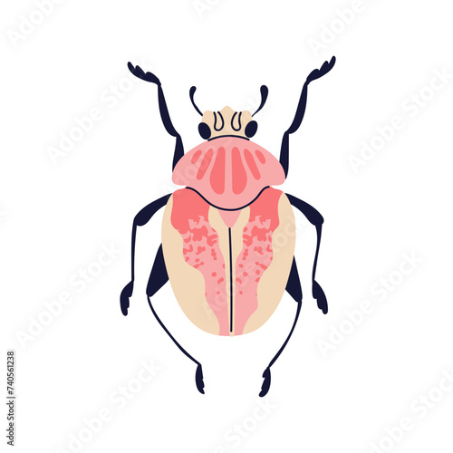 Fancy beetle. Fantasy bug with legs, top view. Insect, fauna species with stripes on wings, small animal from above. Flat vector illustration isolated on white background