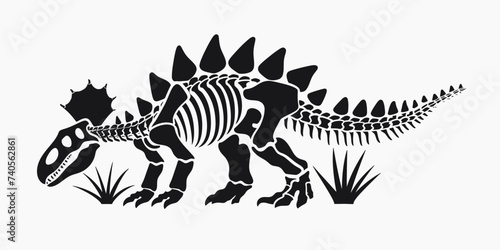 Stegosaurus Skeleton Illustration