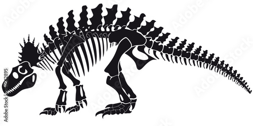 Stegosaurus Skeleton Illustration