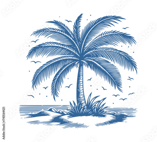 Fototapeta Naklejka Na Ścianę i Meble -  Palm tree vector hand drawn illustration graphic asset