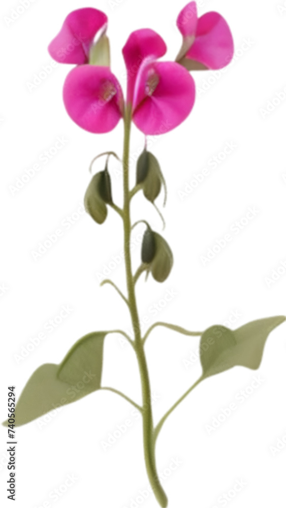 Sweet pea clipart. A cute sweet pea flower icon. Sweet pea clipart. A cute sweet pea flower icon.