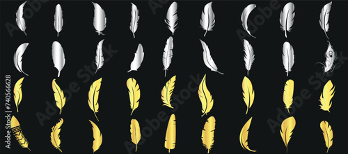 Golden, silver feathers on dark background, feather pattern, elegant, luxurious design, fashion, decor element