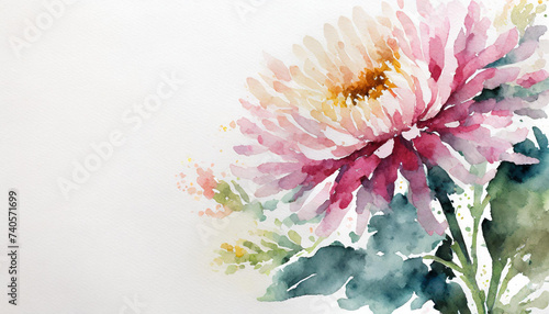 Watercolour of a chrysanthemum on pure white background canvas  copyspace on a side