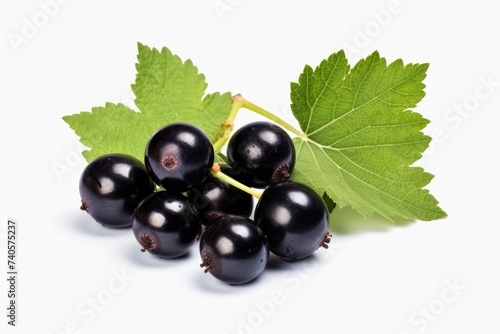 Fresh black currants with leaves, perfect for food and beverage designs