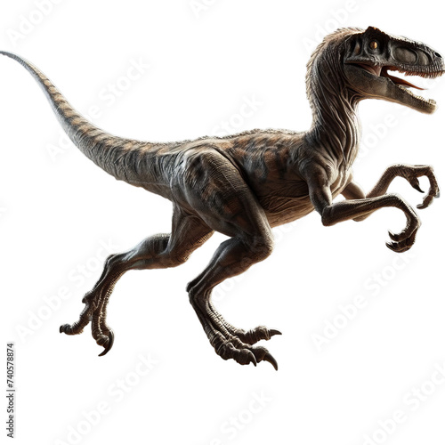 raptor isolated on transparent background © road to millionaire