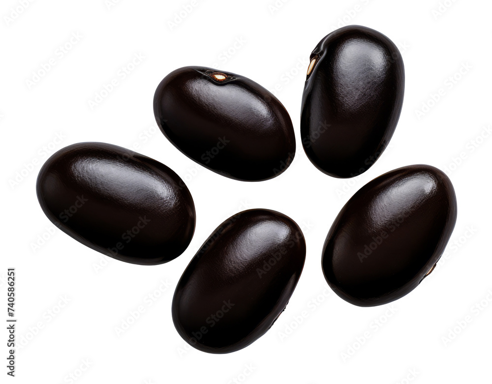 black bean isolated on transparent background
black bean isolated on transparent background