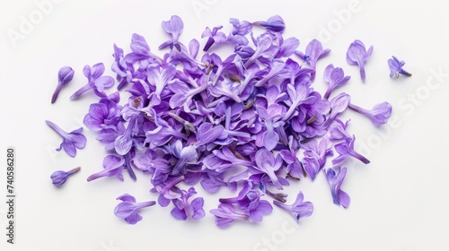 Beautiful purple and lilac flowers, petals on a white background, ideal for design and creative projects.