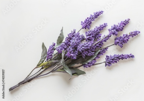 Beautiful lavender flowers  a bouquet of purple flowers centered on a white background  are ideal for design and creative projects.