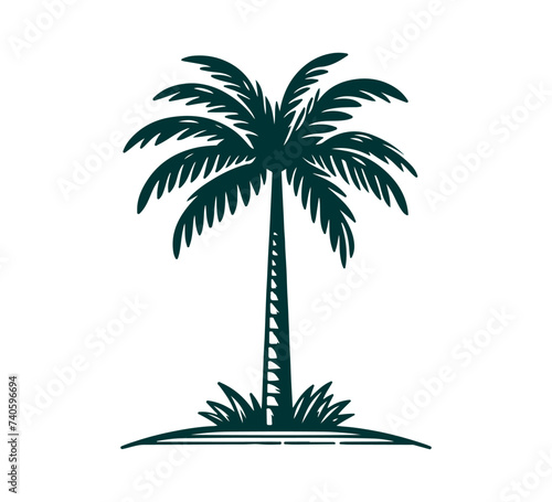 Palm tree vector hand drawn illustration graphic asset