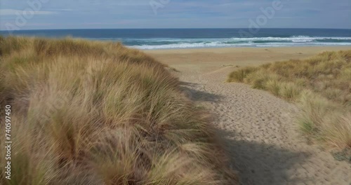 Aerial: Ocean path on sand dunes leading to surf.  Point Reyes. San Francisco, California, USA