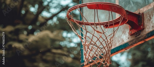 A detailed shot of a basketball hoop with lush trees in the background, capturing the essence of the ball game and team sport in a serene outdoor setting