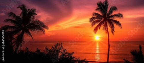 Tropical paradise: vibrant sunset with silhouetted palm trees and golden sun setting over the horizon © TheWaterMeloonProjec