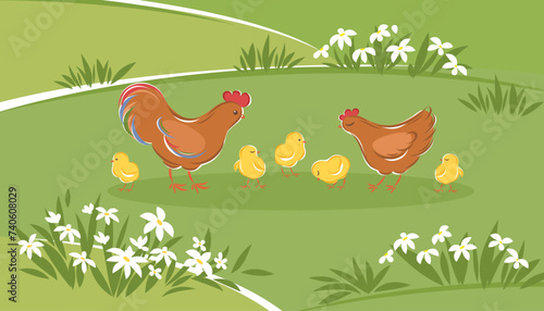 Cute family of domestic bird. Rooster  hen and brood of chicks. Childish cartoon vector illustration.