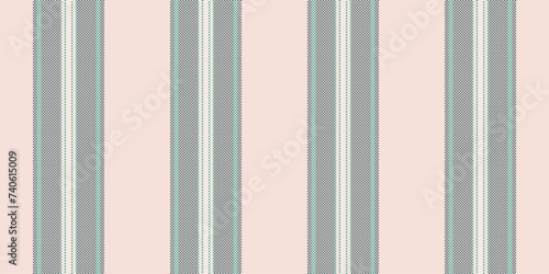 Softness stripe vector pattern, victorian seamless texture vertical. Doodle lines textile background fabric in light and cyan colors.