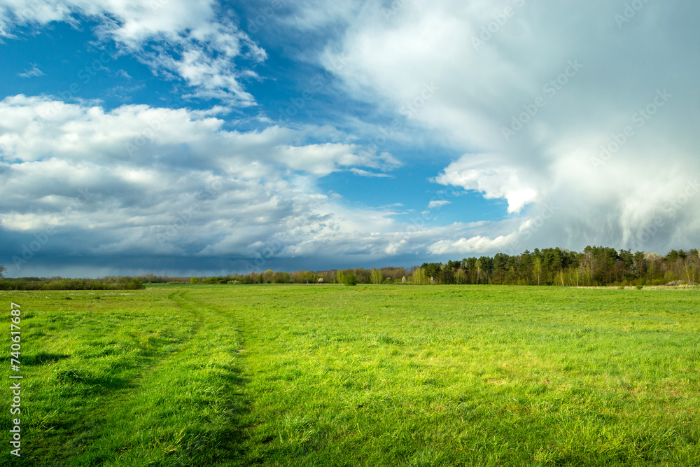 Clouds over a green meadow, May day