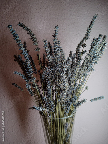 a bouquet of lavender in a glass vase on the background of a pink wall
