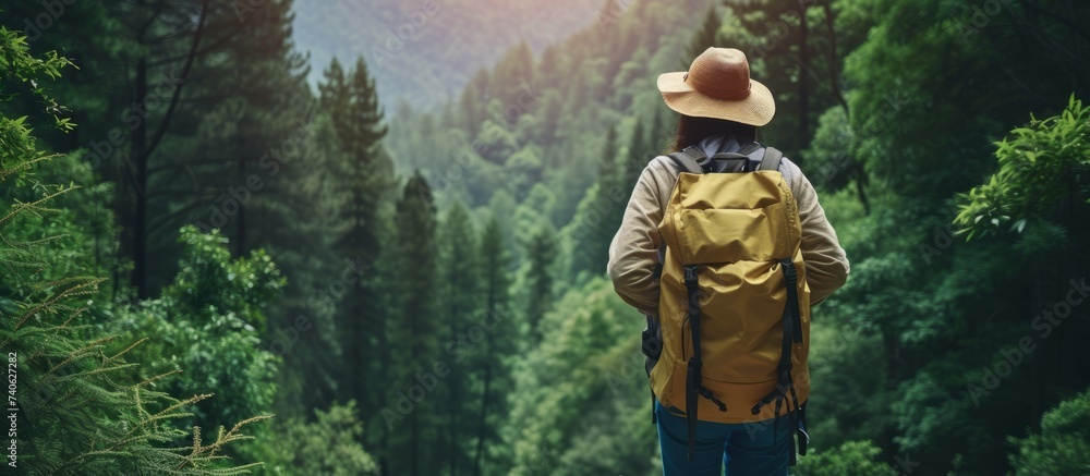 Exploring the serene wilderness: a solitary hiker with a backpack walking through the enchanting woods