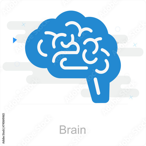 Brain
