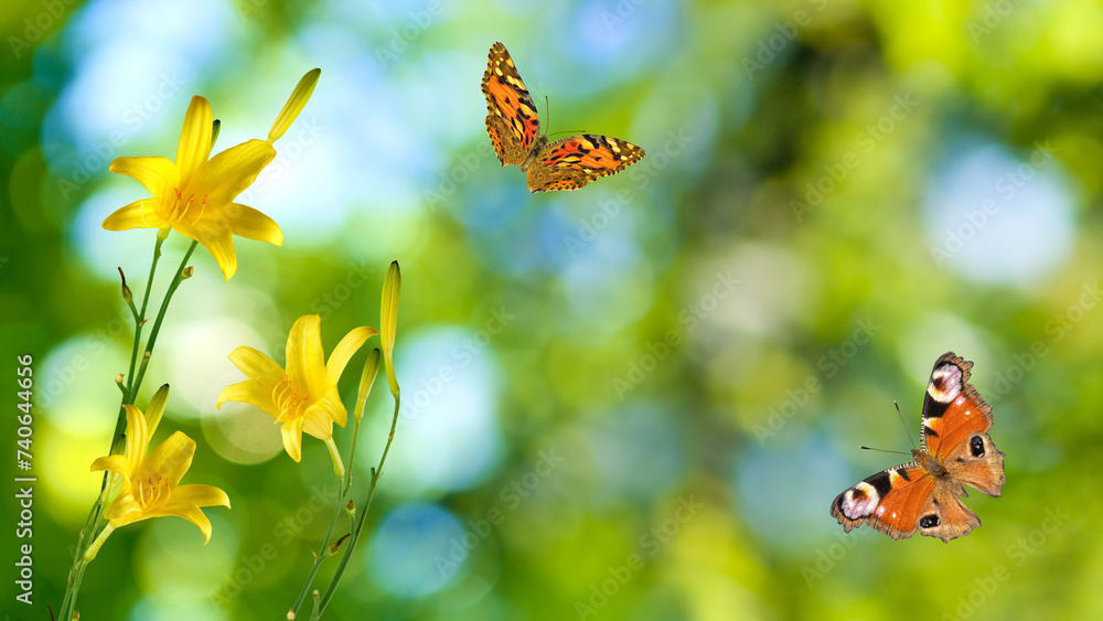 Fototapeta premium beautiful butterfly and flowers on a colorful blurred background