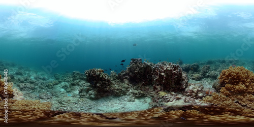 Coral reef and tropical fish under the sea floor. Underwater world scene. 360-Degree view.