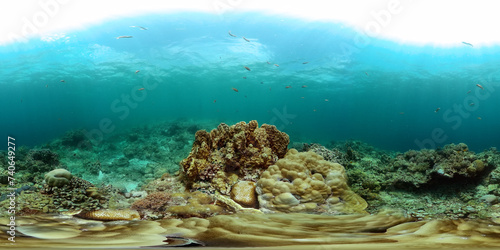 Fototapeta Naklejka Na Ścianę i Meble -  Underwater landscape with tropical fish and stony coral reefs. 360-Degree view.