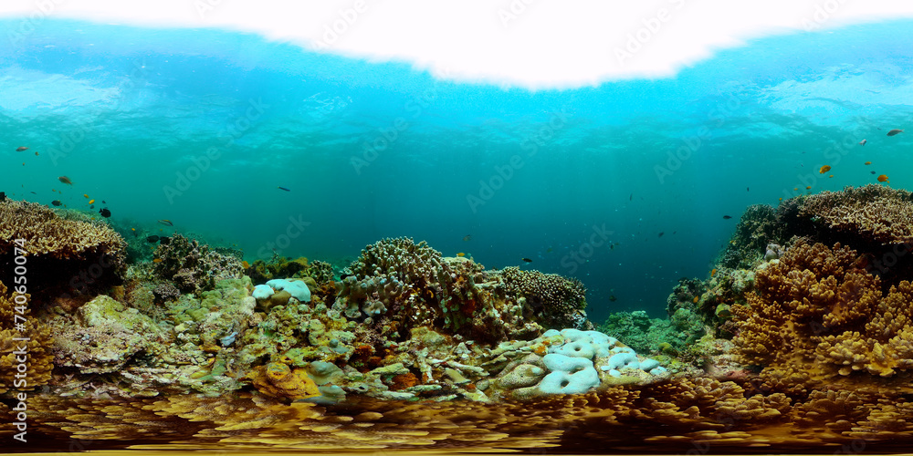 Underwater world with coral reef and fishes. Marine sanctuary. VR 360.