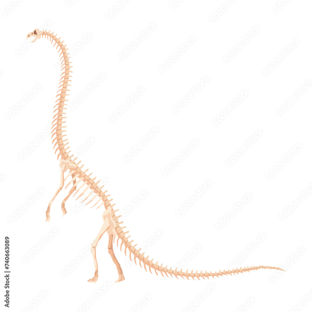 Obraz premium Dinosaur skeleton. Dino monsters icon. Shape of real animal. Sketch of prehistoric reptiles. Vector illustration isolated on white. Hand drawn sketch