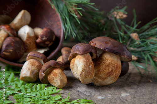 Imleria Badia or Boletus badius mushrooms commonly known as the bay bolete and clay bowl with mushrooms on vintage wooden background.